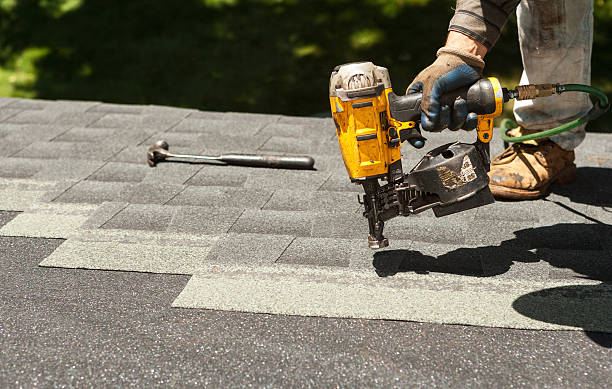 Roof Gutter Cleaning in Lincolnton, GA